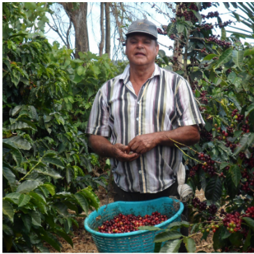 Costa Rica Micro Lot Series