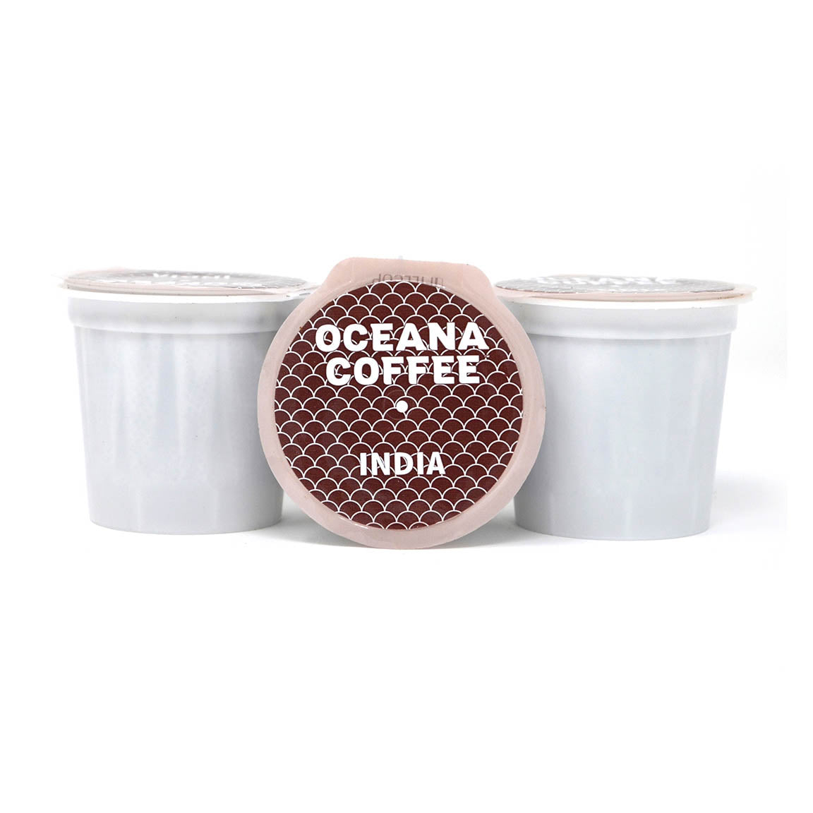 India Monsooned Malabar AA 12 Pack K-Cups - Oceana Coffee Roasters